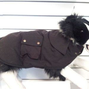 dog in oilskin coat