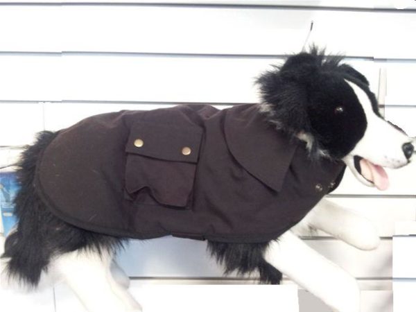 dog in oilskin coat
