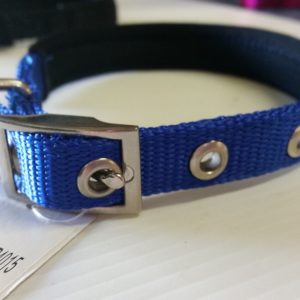 Dog Collar - Padded 15mm x 39cm Blue