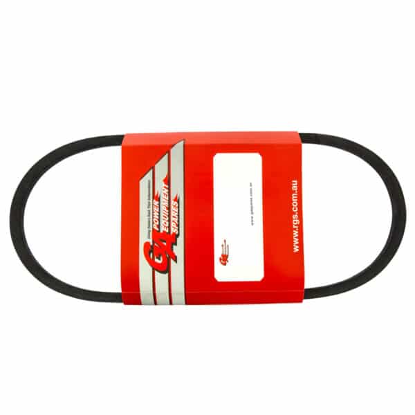 B31 V Belt