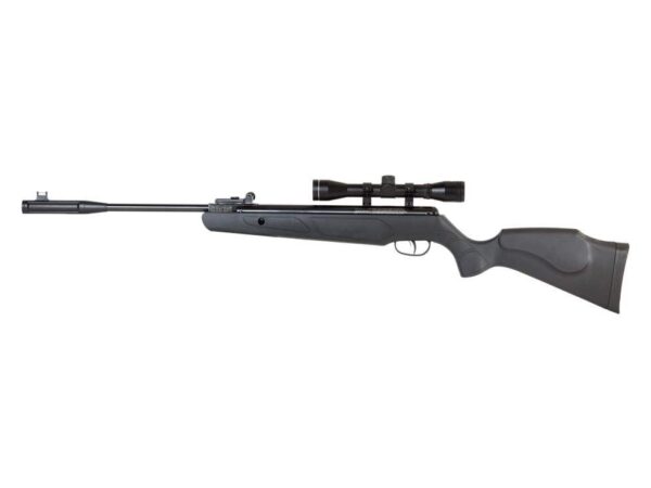 Rem Express Hunter NP Syn 1200FPS with Scope .177 Black