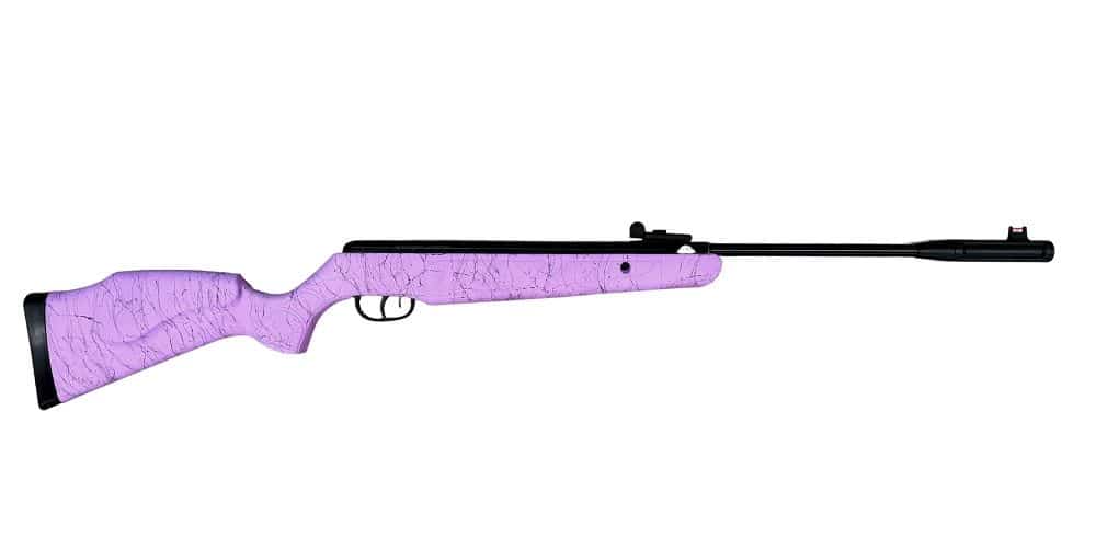 Rem Express Hunter NP Syn 1200FPS with Scope .177 Purplexed