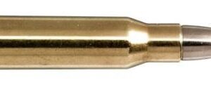 308 Win 139gr Evostrike 20 Pack