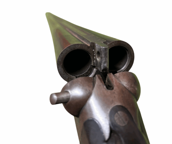 W.W. Greener 12G Side-by-Side Shotgun (Used) - Image 7