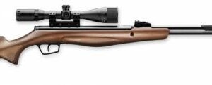 RX40 Wood w/ 3-9x40AO scope 22cal (800 FPS)
