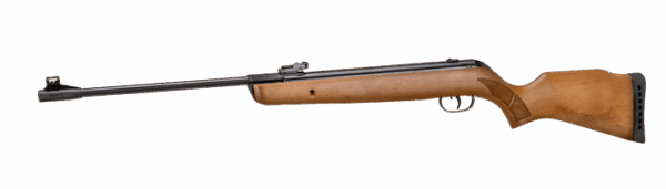 Gamo Big Cat Hunter 1250fps .22