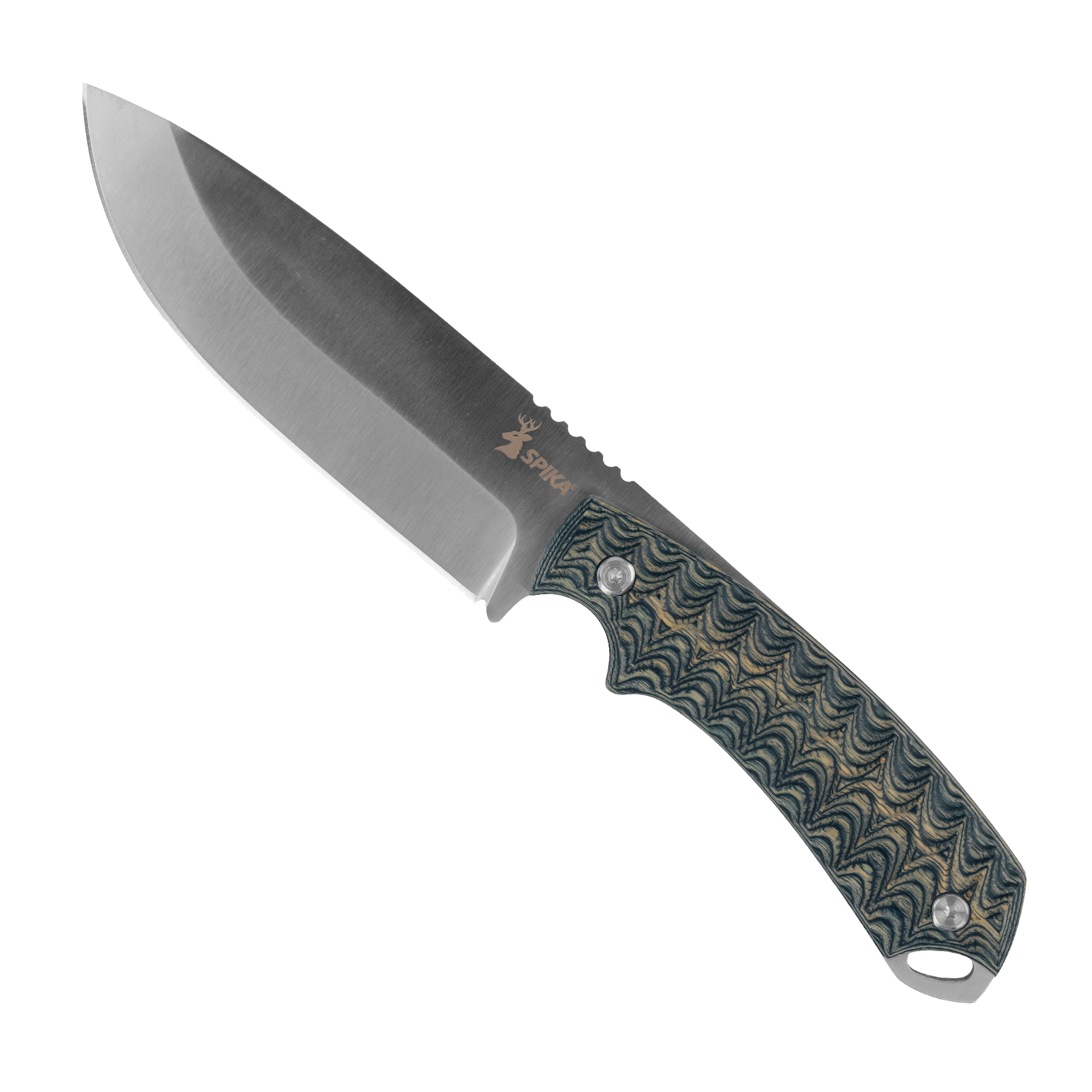 Bushmaster Dogtooth